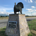 Turkey Sculpture on northern county border
