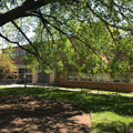 Photo 3 of Roanoke City Public Library
