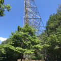 Photo 6 of The Star