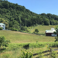 Photo 4 of Anderson-Doosing Farm