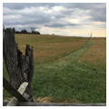 Battlefield