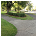 R. A. Long Park, panoramic view