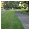 Photo 5 of City of Longview