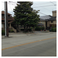 Photo 2 of Bertschi School