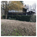Photo 5 of Ellsworth Storey Residences