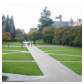 Photo 7 of Liberal Arts Quadrangle