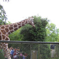 Photo 2 of Woodland Park Zoo