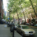 Looking north along First Avenue South