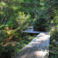 Photo 4 of Bloedel Reserve