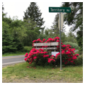 Photo 2 of Oysterville Historic District