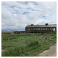 Cannery
