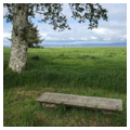 Looking east with Espy Bench