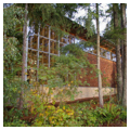 Photo 3 of Maple Valley Library
