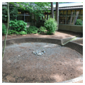 Moss pool