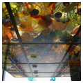 Photo 14 of Museum of Glass
