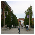 Photo 4 of University of Washington Tacoma