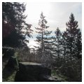 Photo 3 of Chuckanut Drive