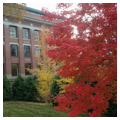 Photo 3 of Carpenter Hall