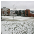Photo 4 of Washington State University