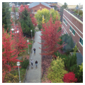 Photo 6 of Washington State University