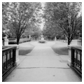 Lion Bridge
