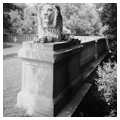 Lion Bridge