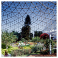 Photo 2 of Mitchell Park Horticultural Conservatory (The Domes)