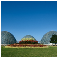 Photo 3 of Mitchell Park Horticultural Conservatory (The Domes)