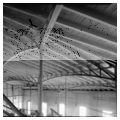 B&O Railroad Martinsburg Shops
