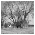 Photo 14 of Peter Burr House