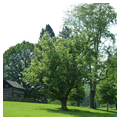 Jackson's Mill Historic Area