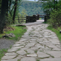 Photo 4 of Coopers Rock Overlook