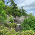 Photo 7 of Coopers Rock Overlook