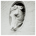 Exterior detail, cow's head roundel